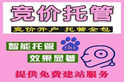 SEM托管优化案例：实现低成本高回报的广告投放